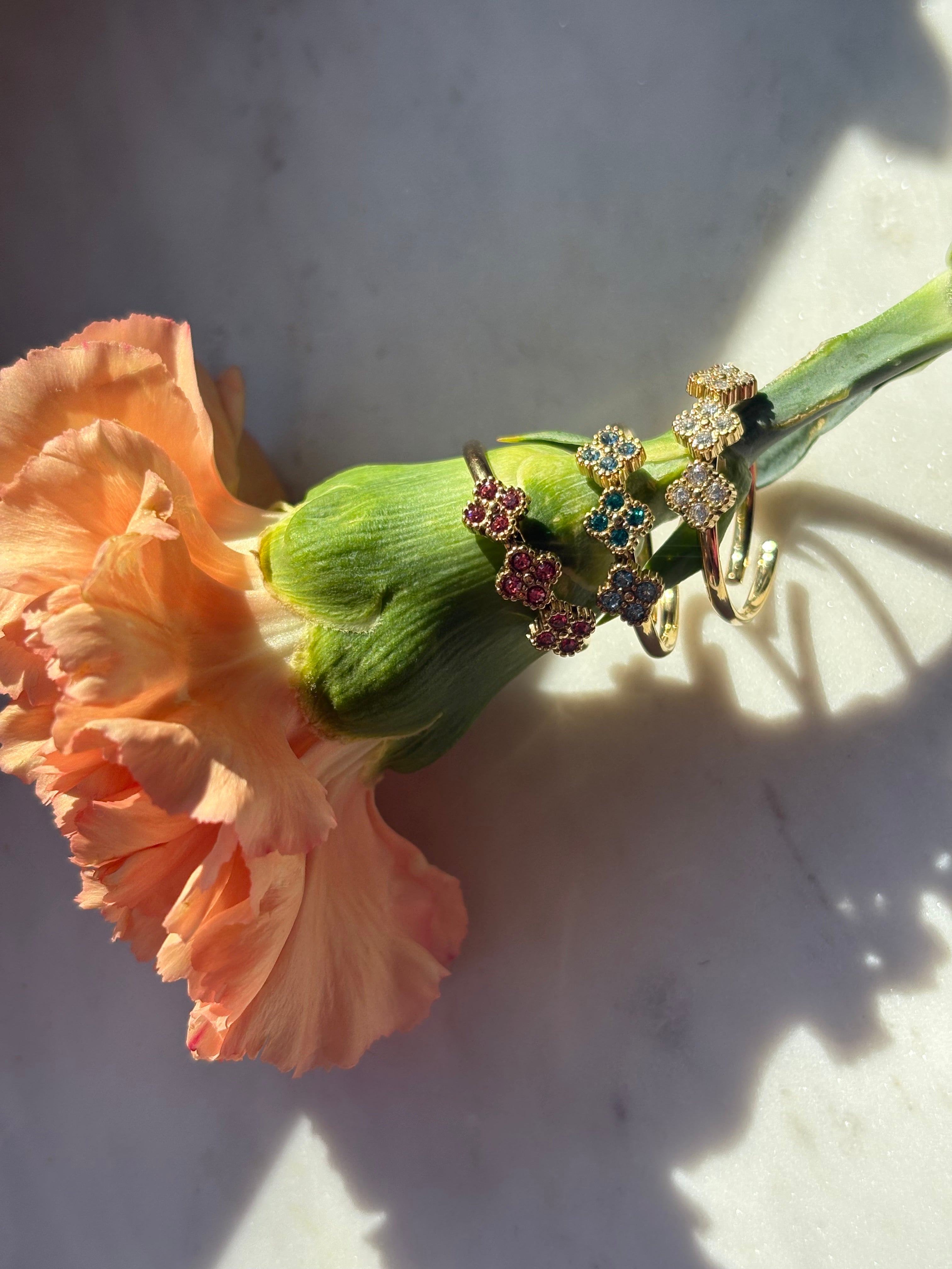 Anillo Bloom